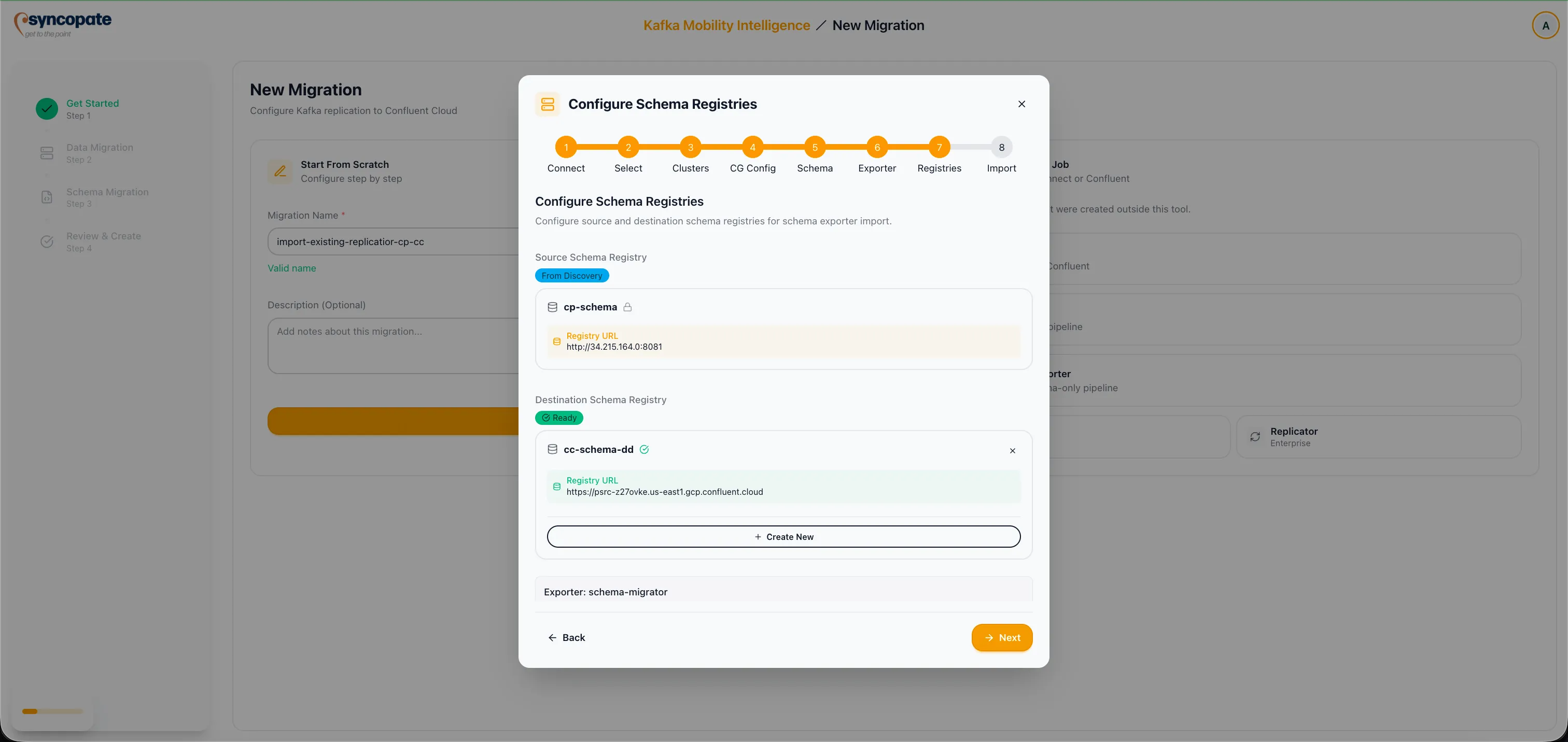 Schema registry configuration or skip option