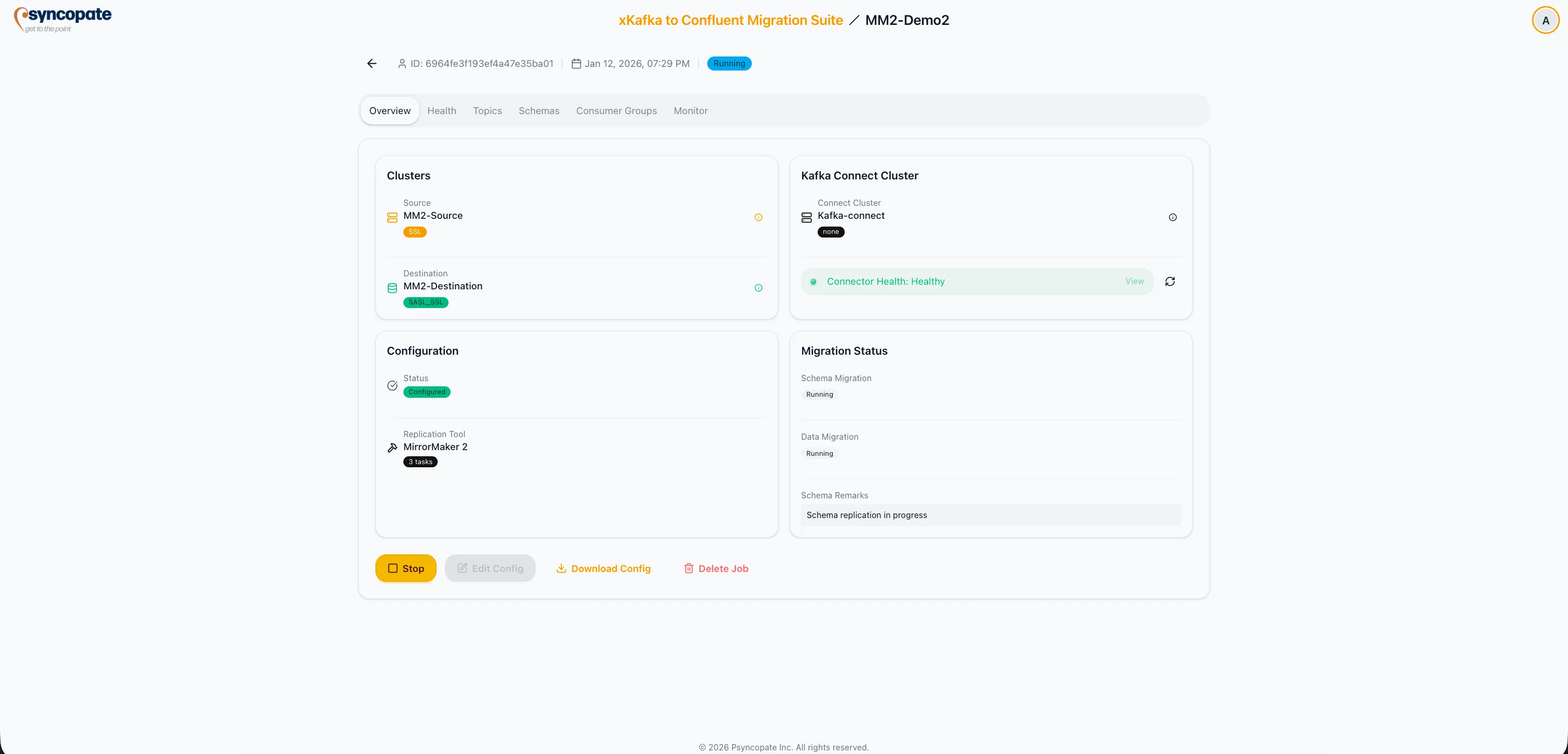 Overview tab showing job configuration details
