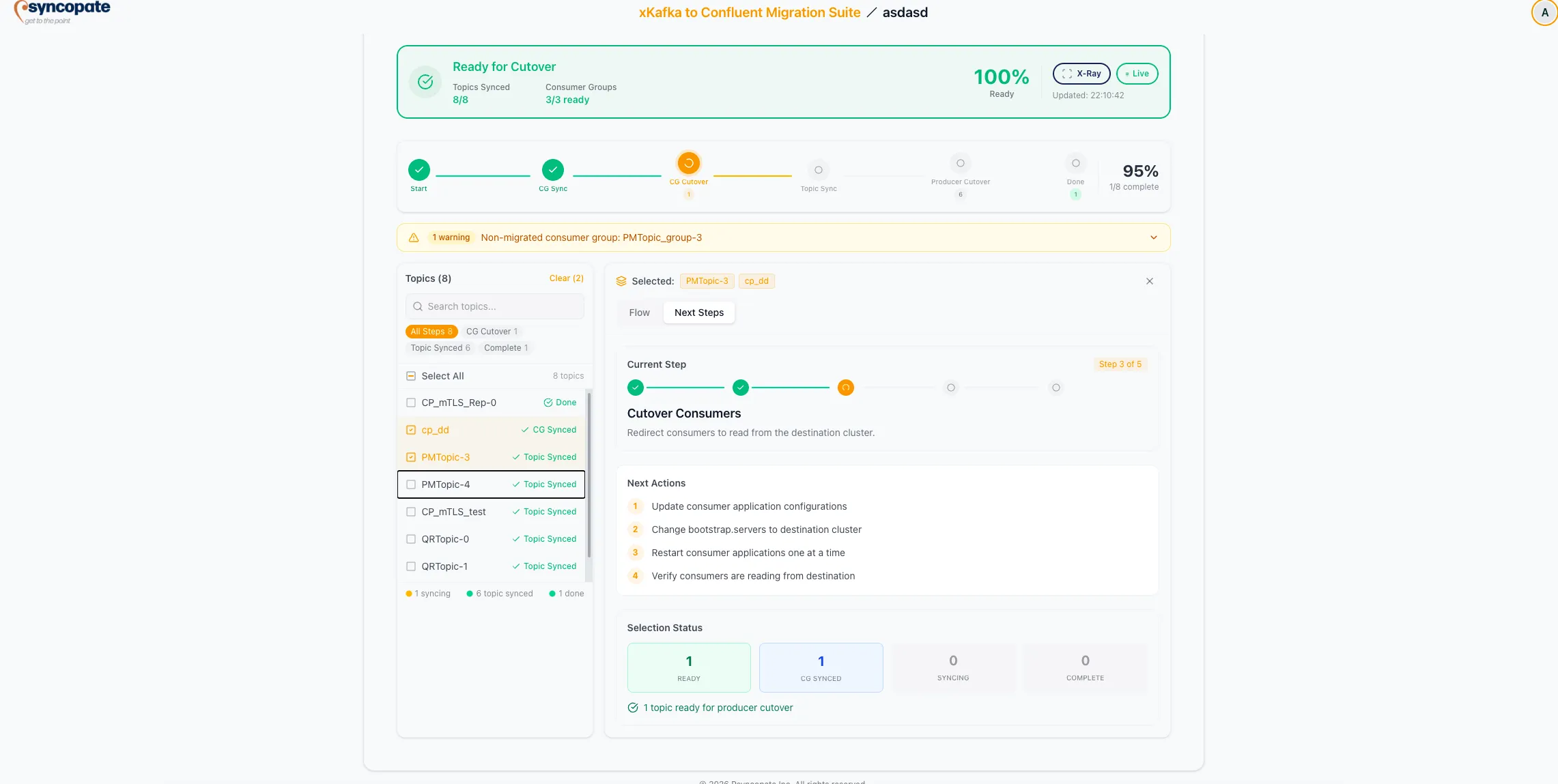 Next steps guidance with checklist and status tracker