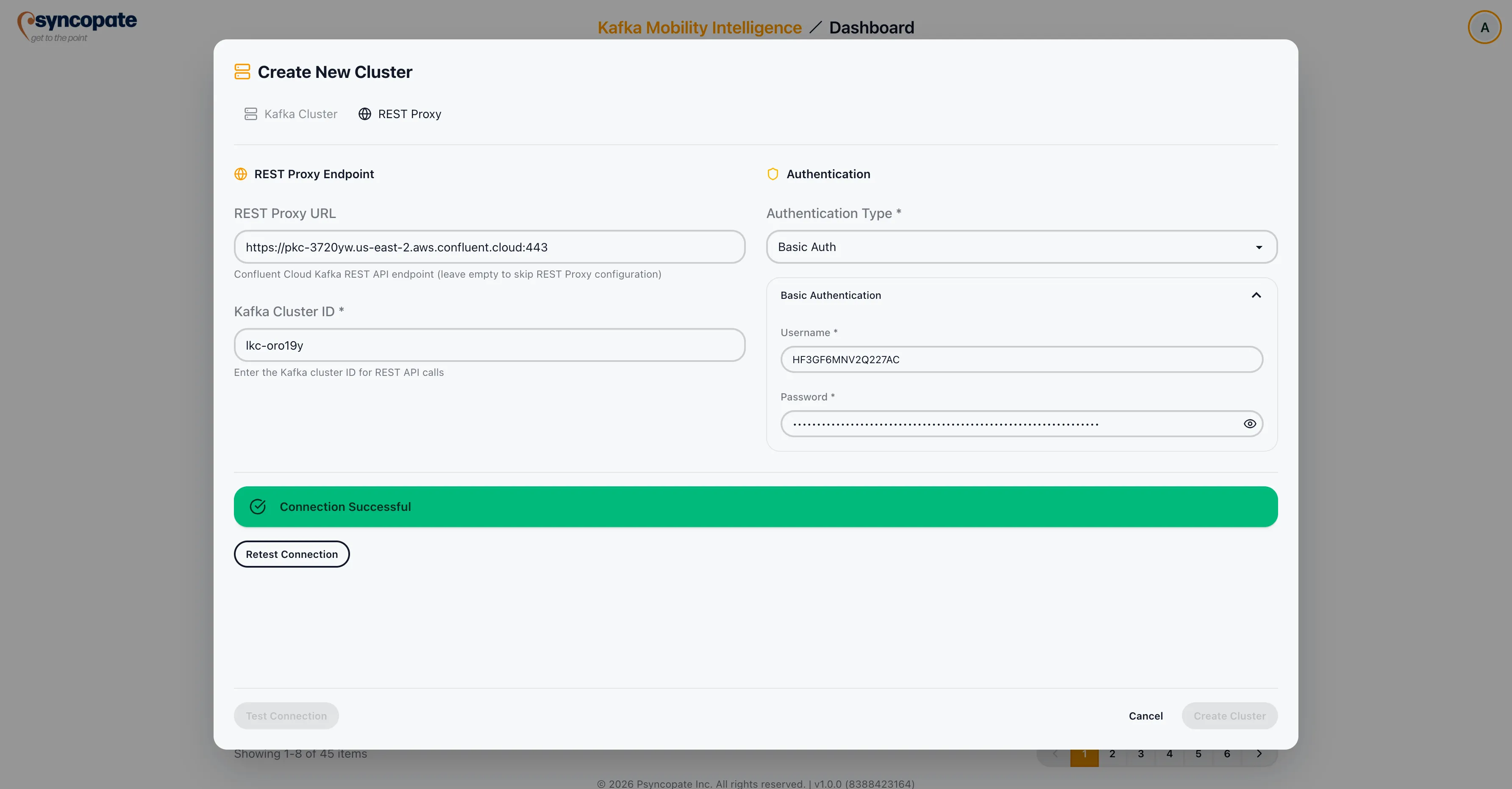 REST Proxy authentication options