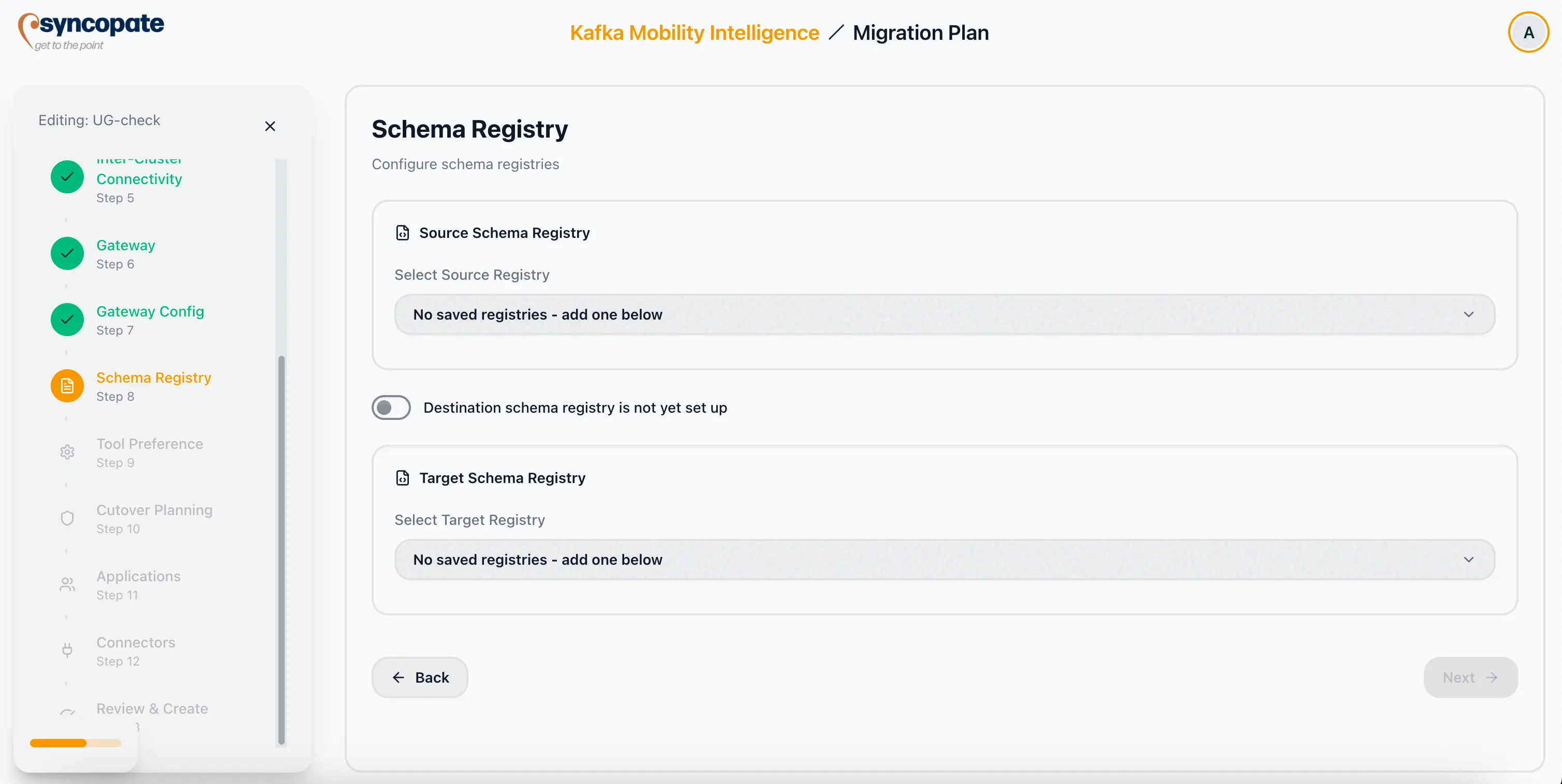 Schema registry planning details