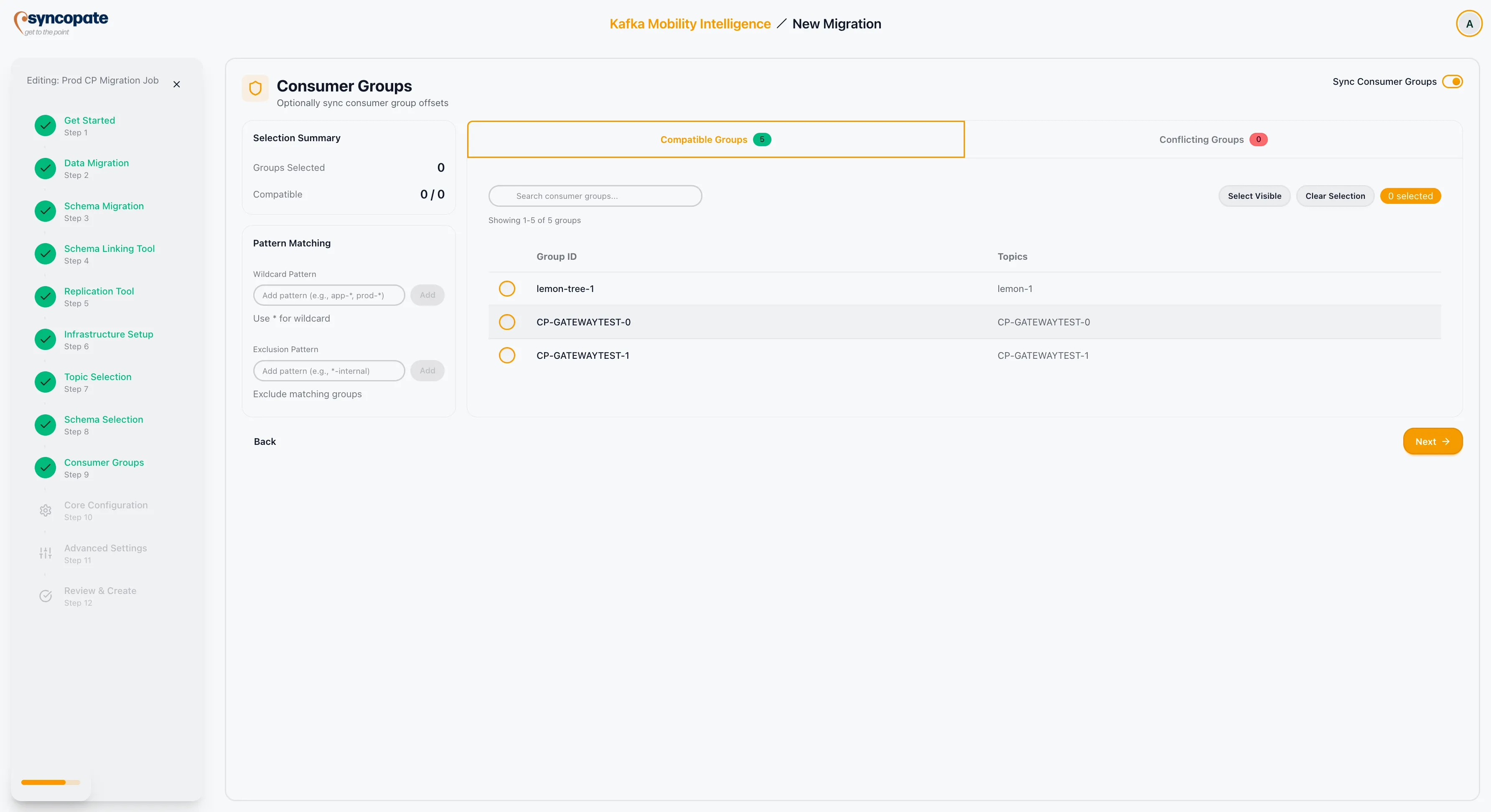 Consumer group selection with compatibility indicators